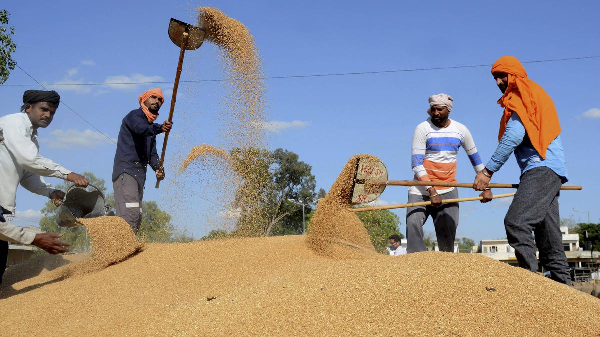 Govt. to offload additional 20 lakh tonnes of wheat in open market to cut prices