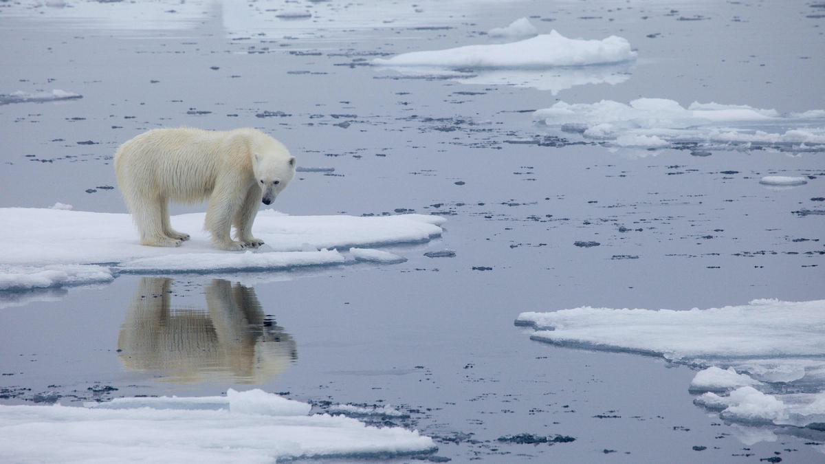 Explained | Arctic sea ice peaked on February 25 this year. Why is that important?