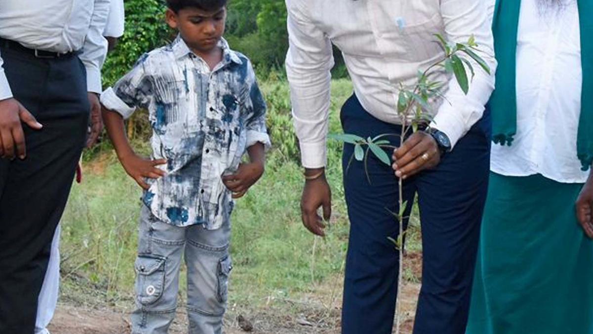 Saplings planted as part of World Environment Day celebrations