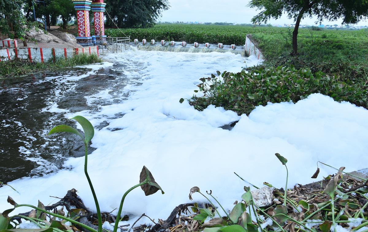 Concern over foaming in irrigation canal
