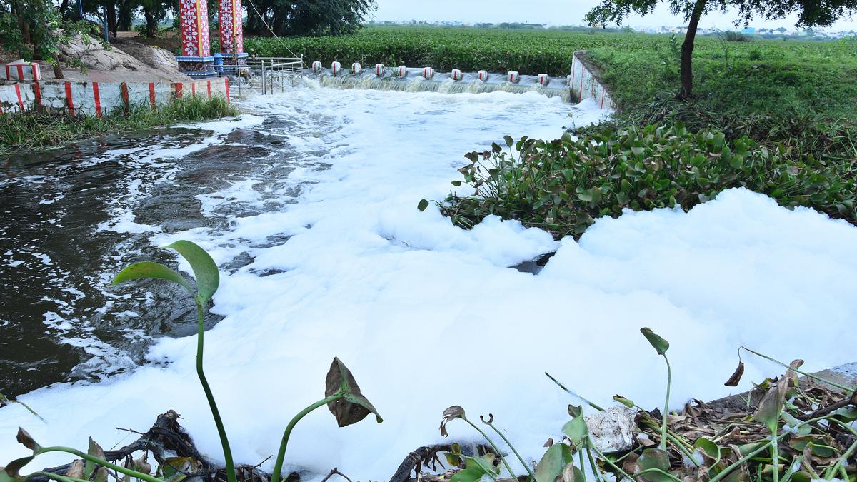 Concern over foaming in irrigation canal The Hindu