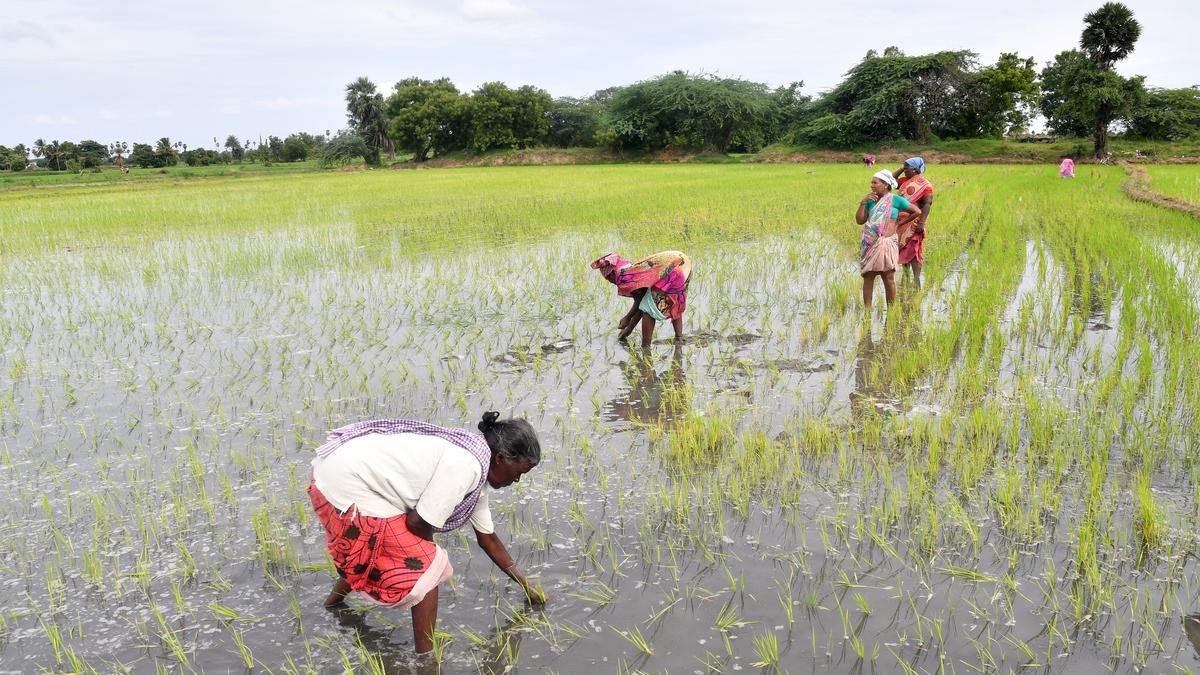 Why are villagers against Chennai s second airport at parandur? The Hindu