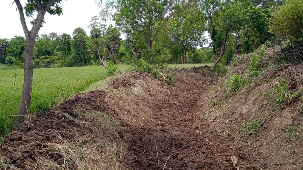 Desilting work nearing completion in Karaikal ahead of main agriculture season