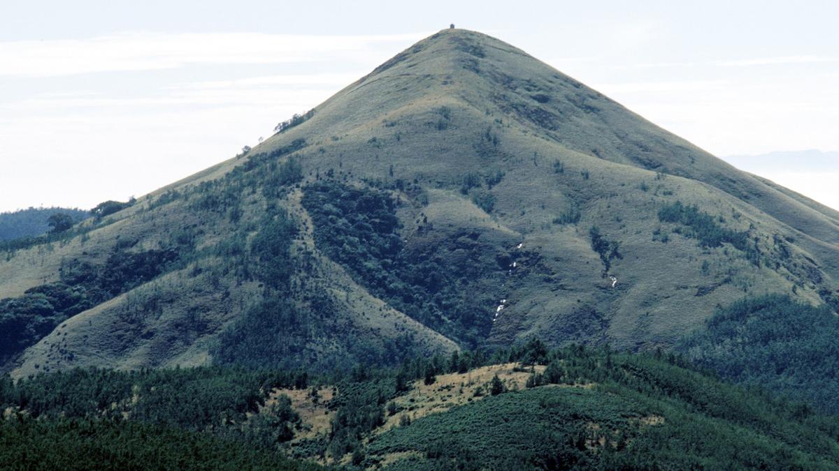 Upper Bhavani project will harm wildlife and indigenous communities, says ecologist