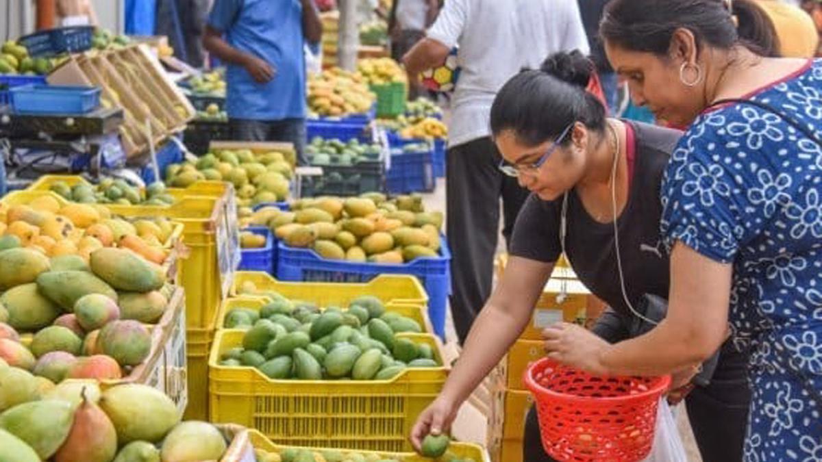 Mango mela inaugurated at in BengaluruN The Hindu