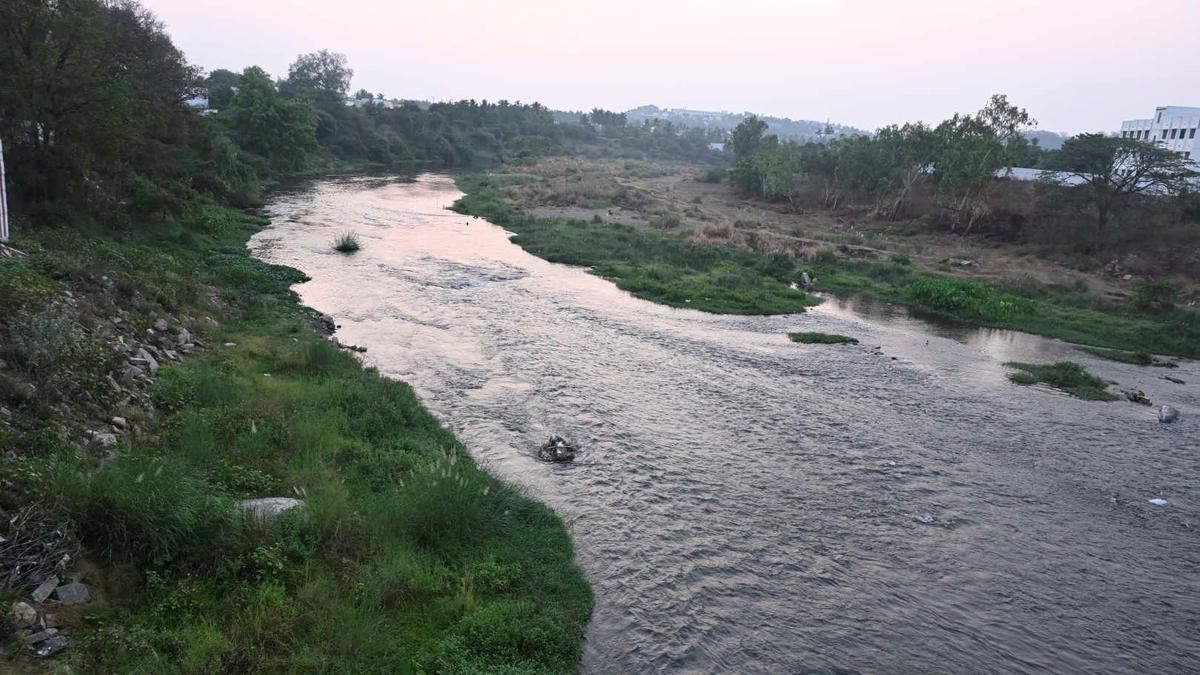 Tamil Nadu election 2026: Bhavanisagar constituency awaits answers to long-standing challenges