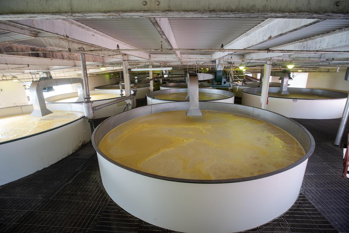 A picture of the fermenters at Buffalo Trace Distillery intended media kit usage. Buffalo Trace Distillery, Louisville A picture of the fermenters at Buffalo Trace Distillery intended media kit usage. Buffalo Trace Distillery, Louisville