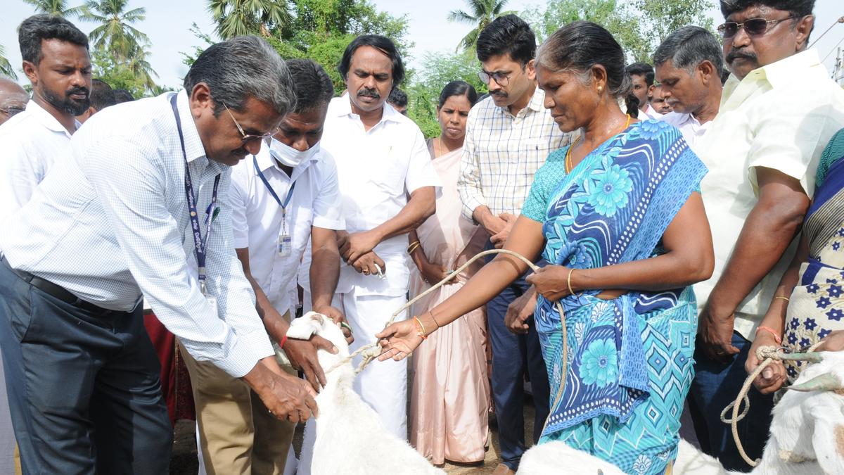 Aavin&rsquo;s milk procurement to be increased to 45 lakh litres in two months: T.N. Dairy Minister