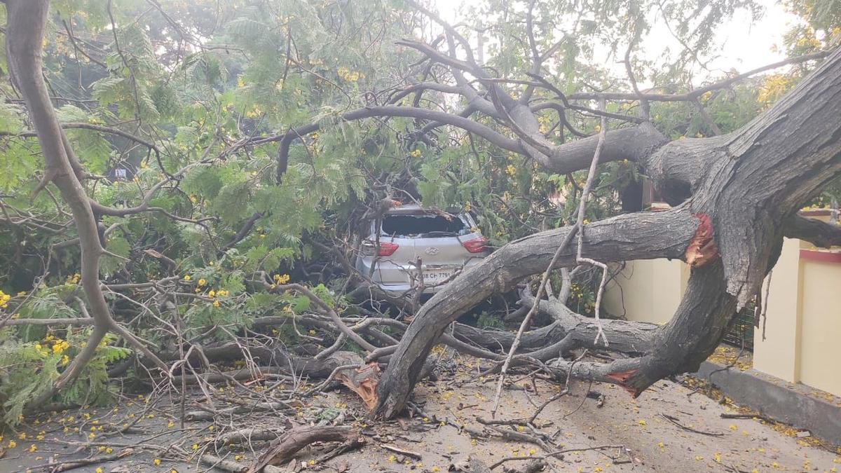 Car damaged as tree branch falls on it on Cowley Brown Road in