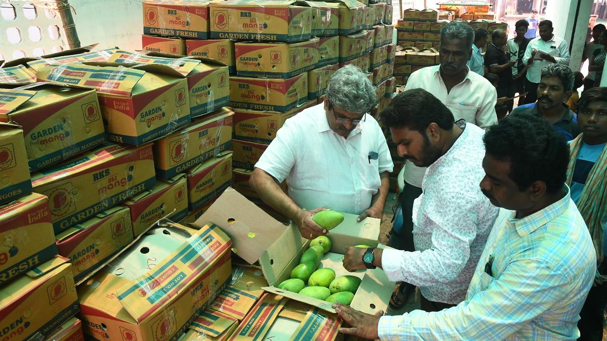 Food Safety officers conduct raids on mango wholesale traders at Nunna Mango Market, in Vijayawada