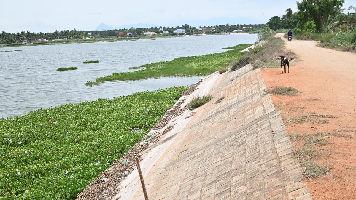 Back-to-back murders near deserted tanks in Coimbatore district raise safety concerns