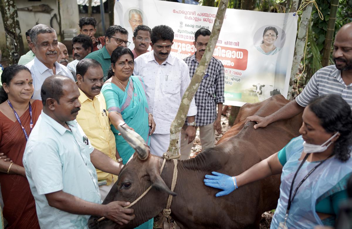 Third phase of FMD vaccination drive begins in the State