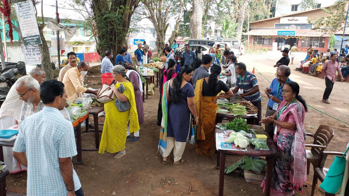 A view of the organic market at Gandhi Bhavan, Thycaud