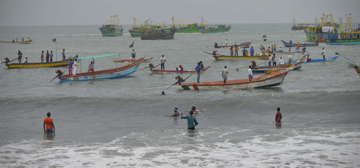 What will become of traditional fishermen if purse seine nets take