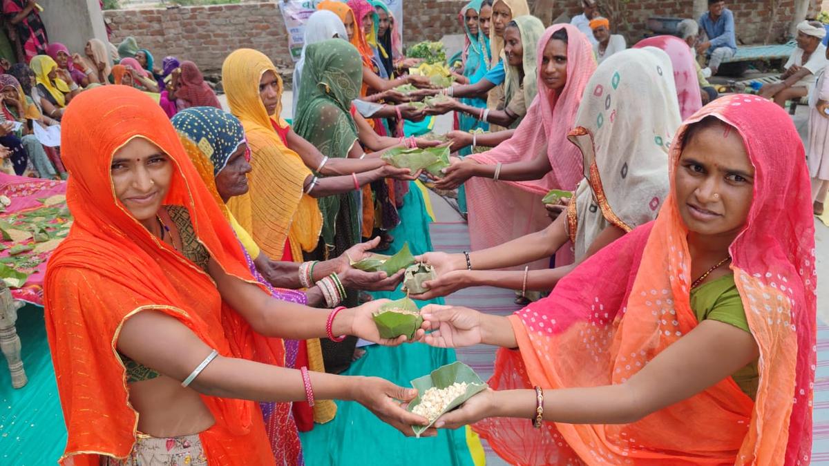 Role of Rajasthan’s tribal communities in meeting global challenges highlighted at U.N. event