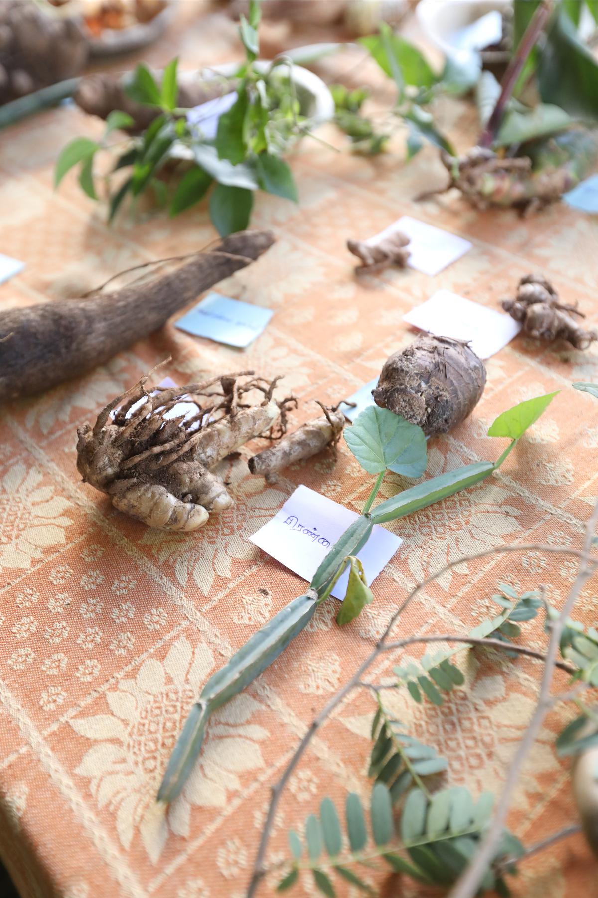 Wild foods on display at the previous festival