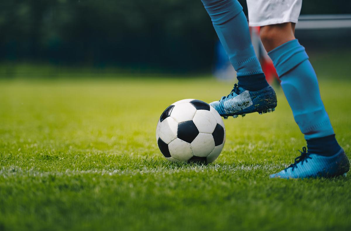 thehindu.com - Nivedita Ganguly - Sports startup SWOT Sportech uses analytics and biomechanics to train young athletes