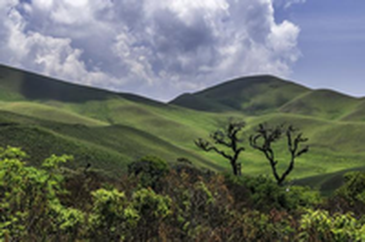 Moody landscape captured by Jayaram