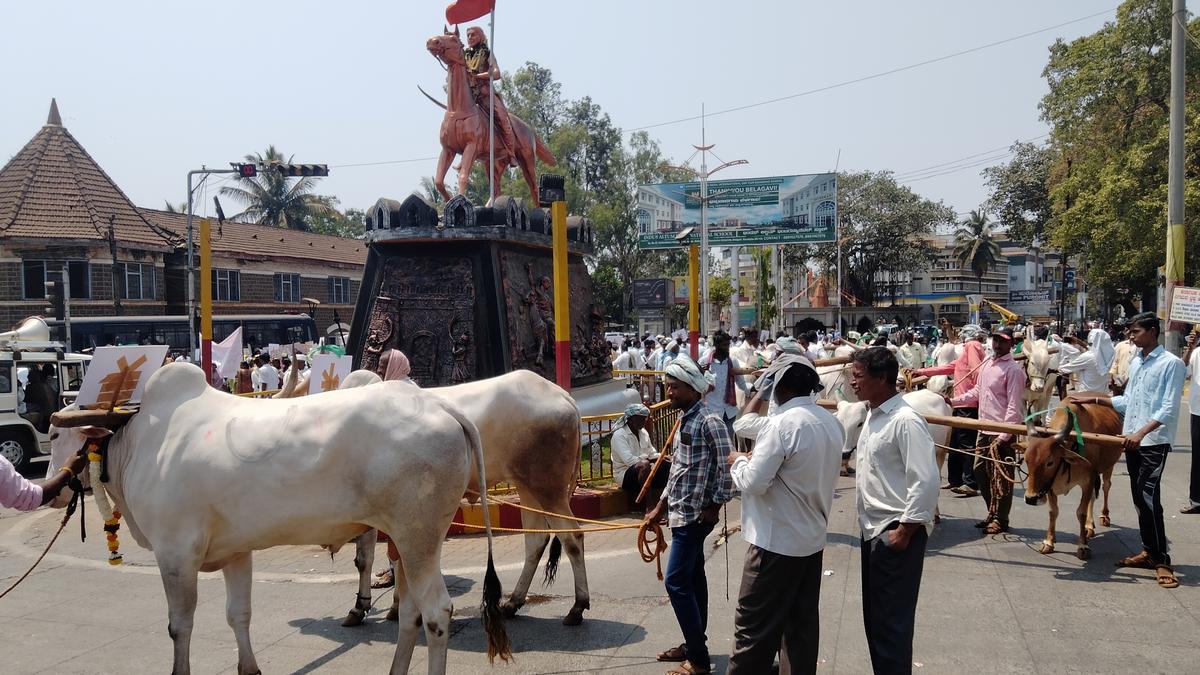 Farmers stage protest against Irrigation Department for delay in compensation for acquired land in Belagavi