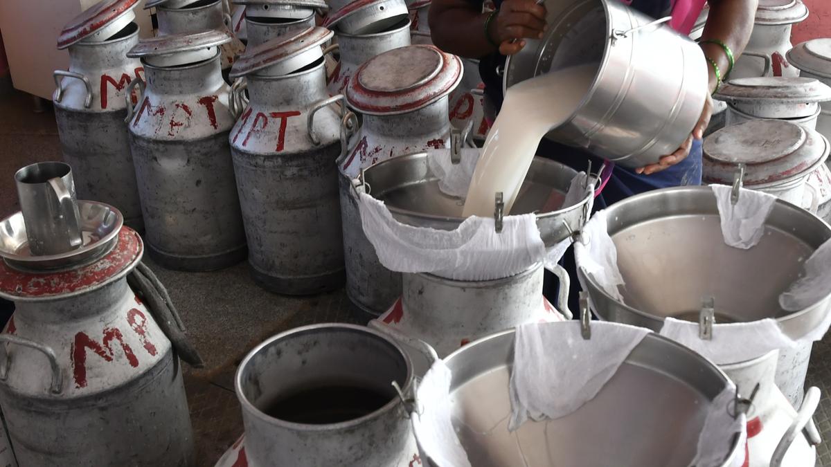 India produces 239.30 million tonnes of milk: Centre