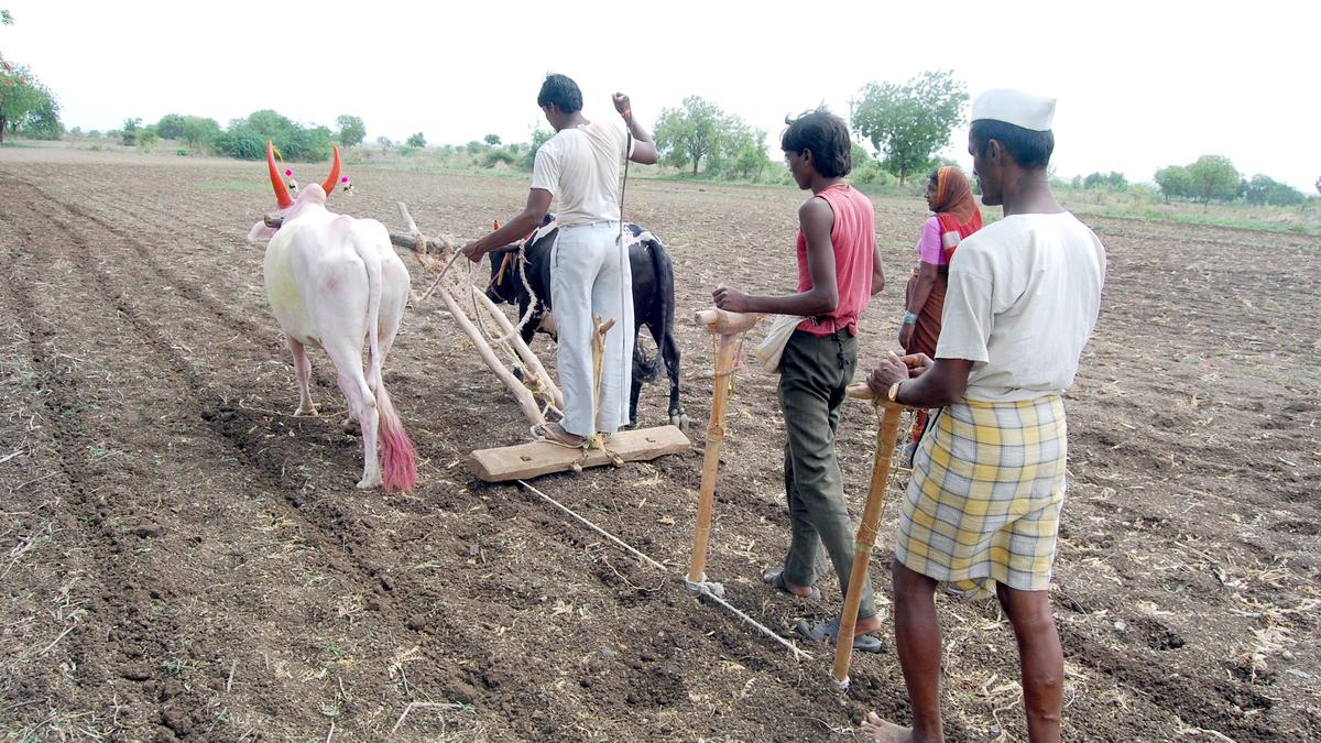 With good rain, sowing expected to exceed target in north Karnataka