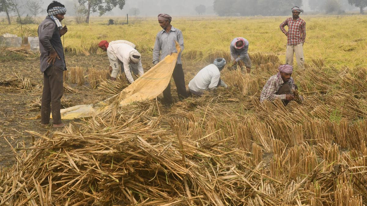 More than a third of families in Bihar surviving on ₹6,000 per month or less, Assembly told