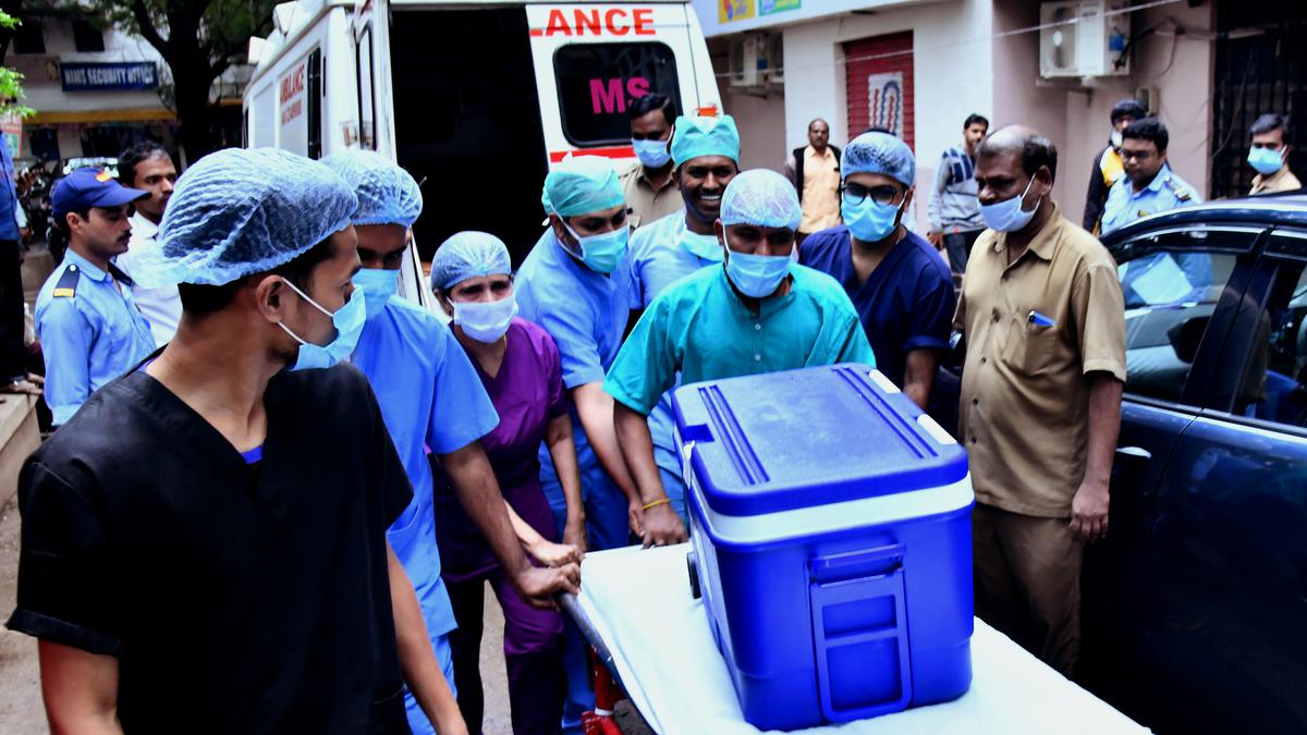 La vie après la mort : les greffes d’organes à Telangana sauvent des vies