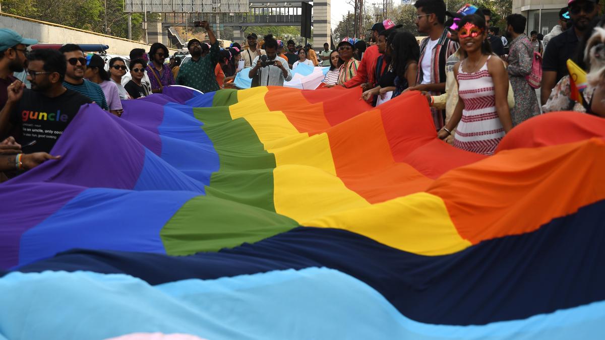 Changes to marriage, succession, criminal, tenancy laws suggested in policy brief to panel looking into issues of queer community