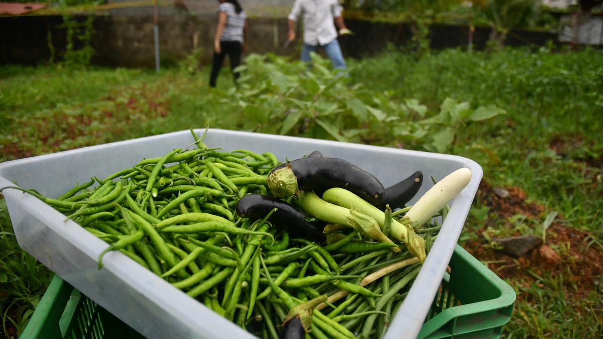 Kerala Government forms Organic Farming Mission to boost climate-smart agriculture