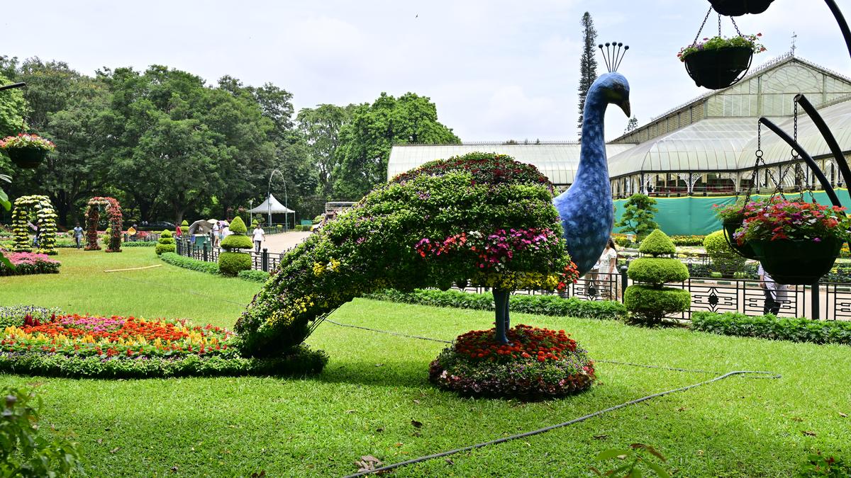 ‘Tunnel Road will take away six acres of Lalbagh land, damage the ecosystem’