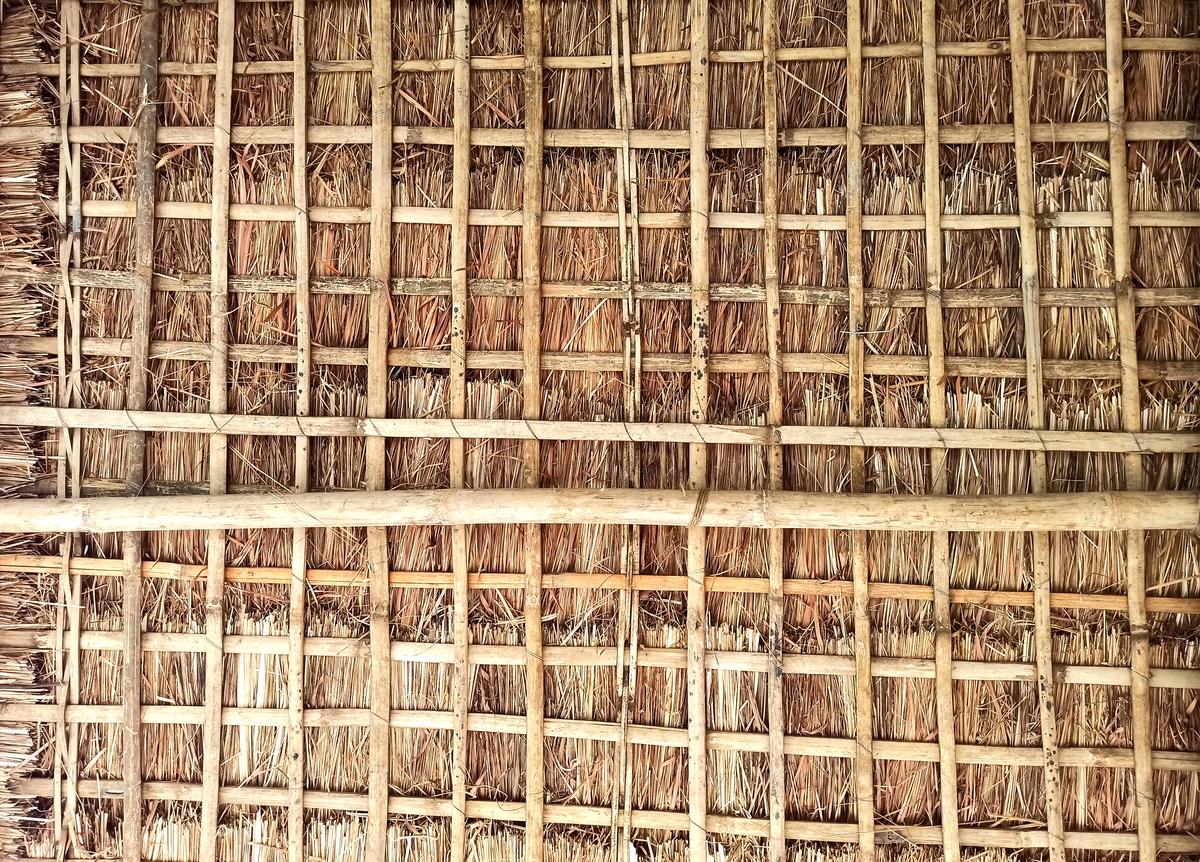 Thatch and bamboo roof pattern of Assam.