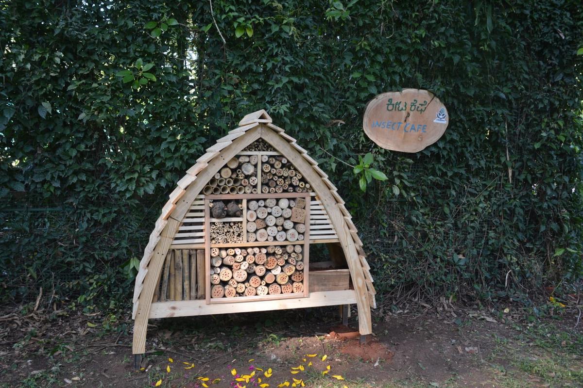 The insect cafe inaugurated at Lalbagh today. The insect cafe inaugurated at Lalbagh today.