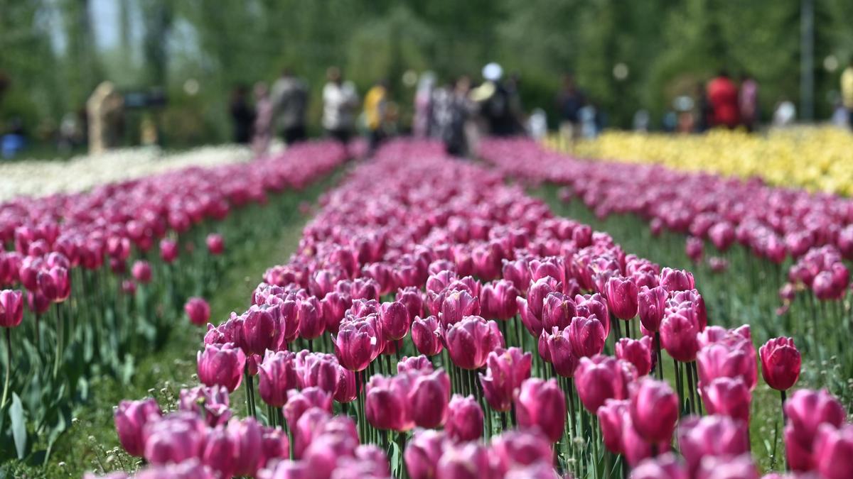 News in Frames: Waltz of the winds