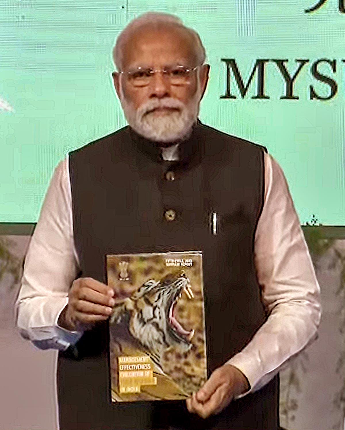 India's tiger population in 2022 was 3,167, reveals latest census data