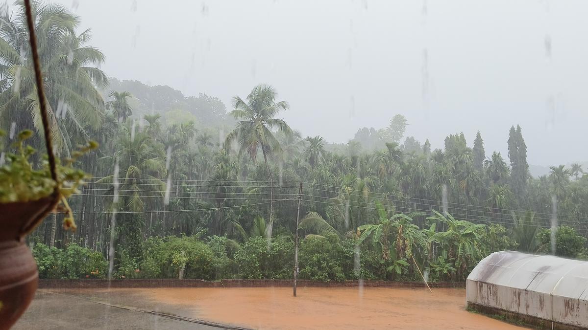 Rainfall to continue in Dakshina Kannada, Udupi till May 4