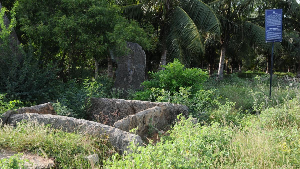 Menhir and megalithic burial sites declared as protected monuments at Kodumanal
