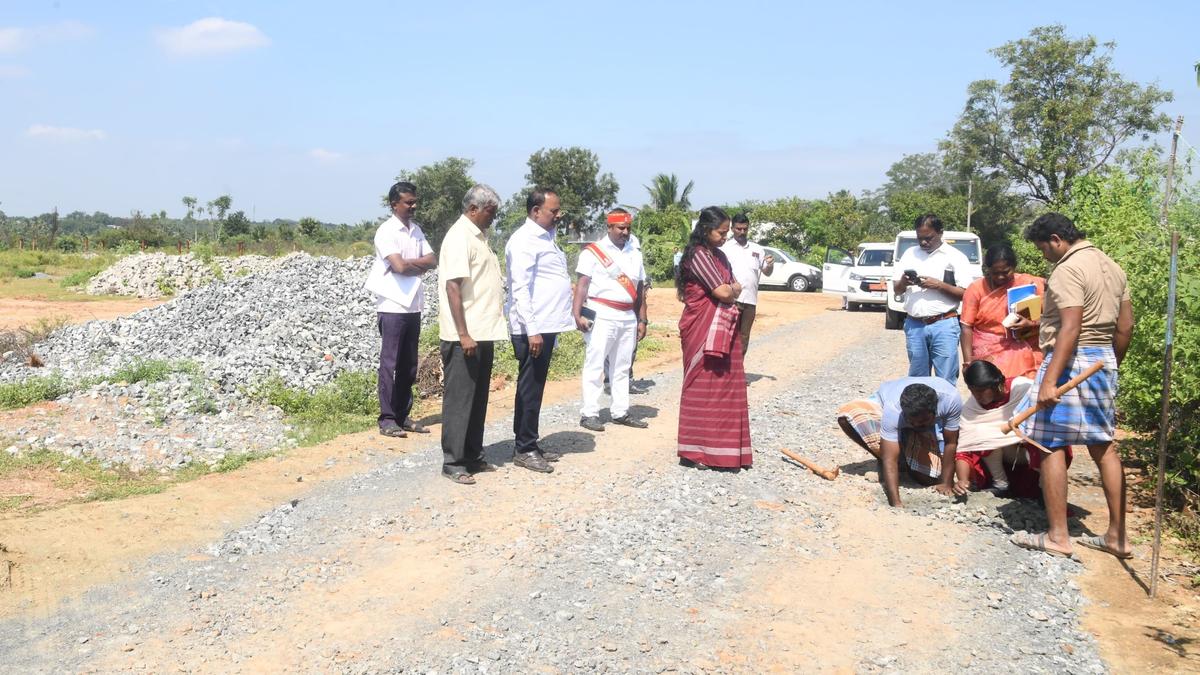 Collector inspects Mecheri block in Salem