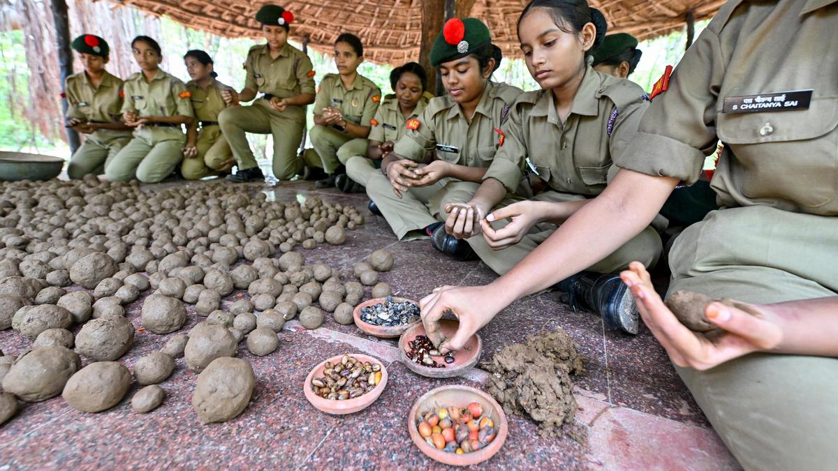 Seed ball drive launched to boost green cover in Andhra Pradesh