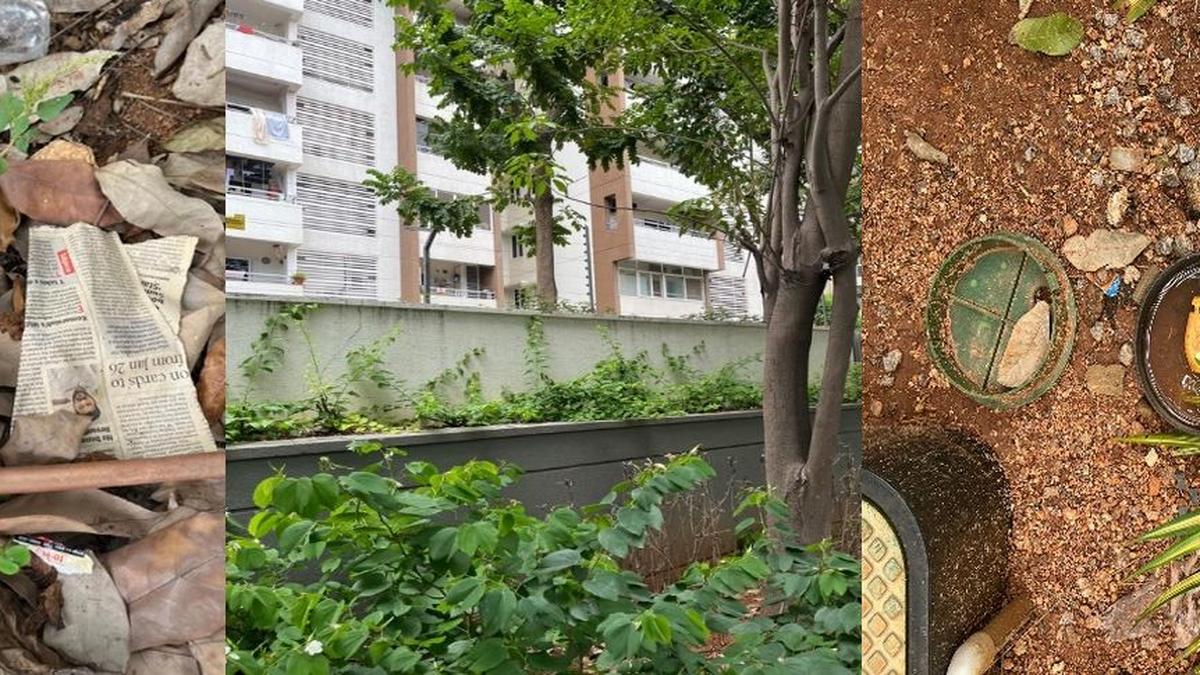 Clearing the fog: a need for revised strategies against Aedes mosquitoes