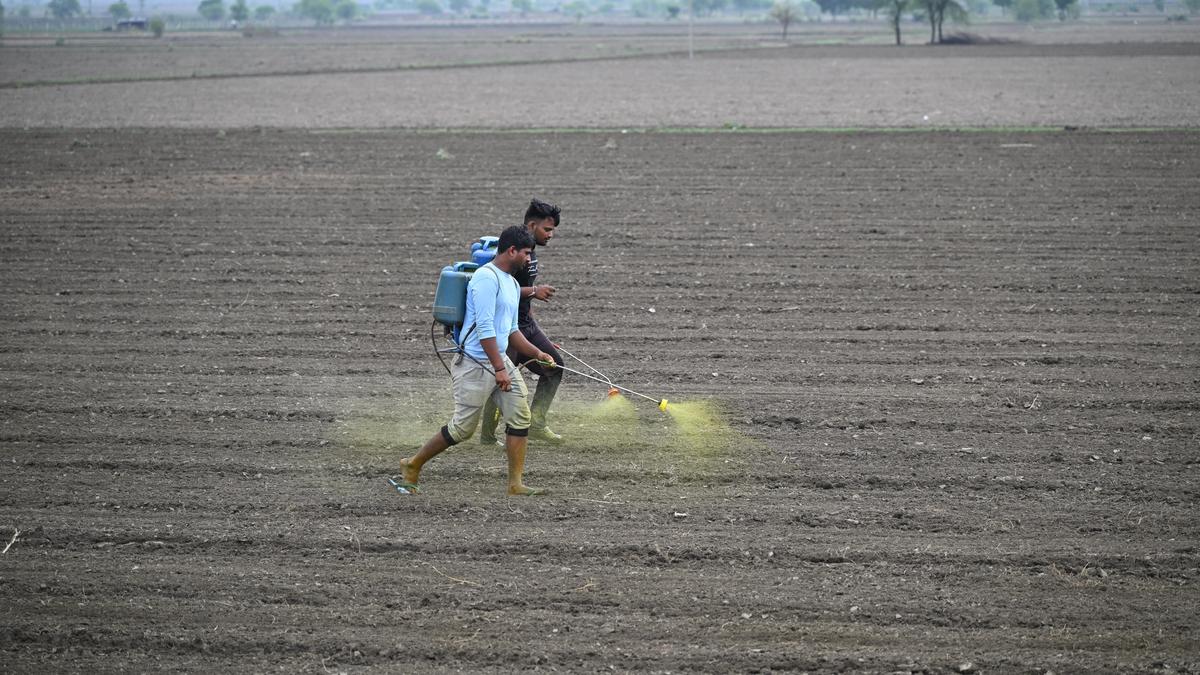 New AI platform will connect farmers and scientists over phone, aid in pest control