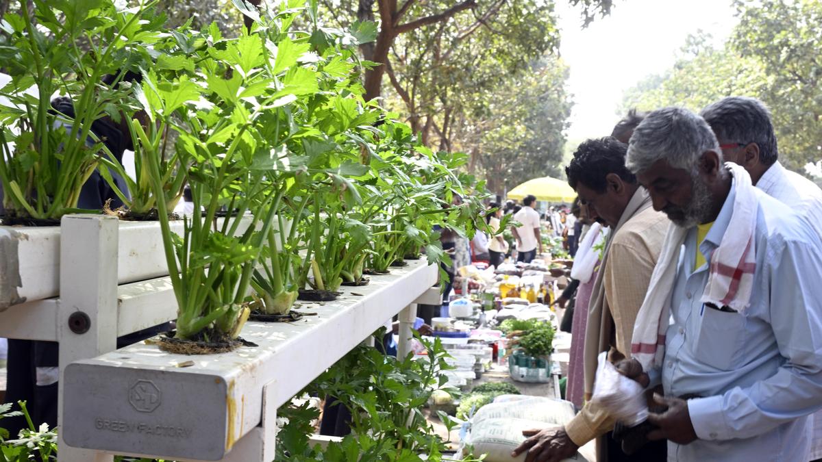 Milky mushrooms, organic eggs and more at Raitha Santhe