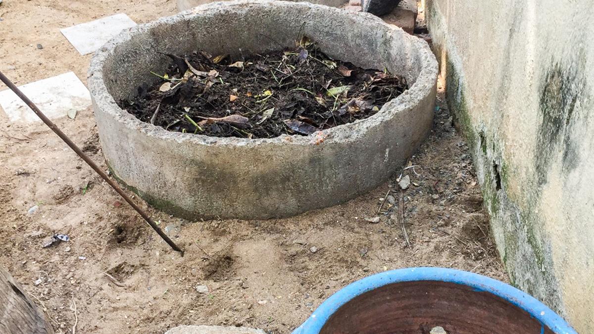 Project Composting helmed by dad