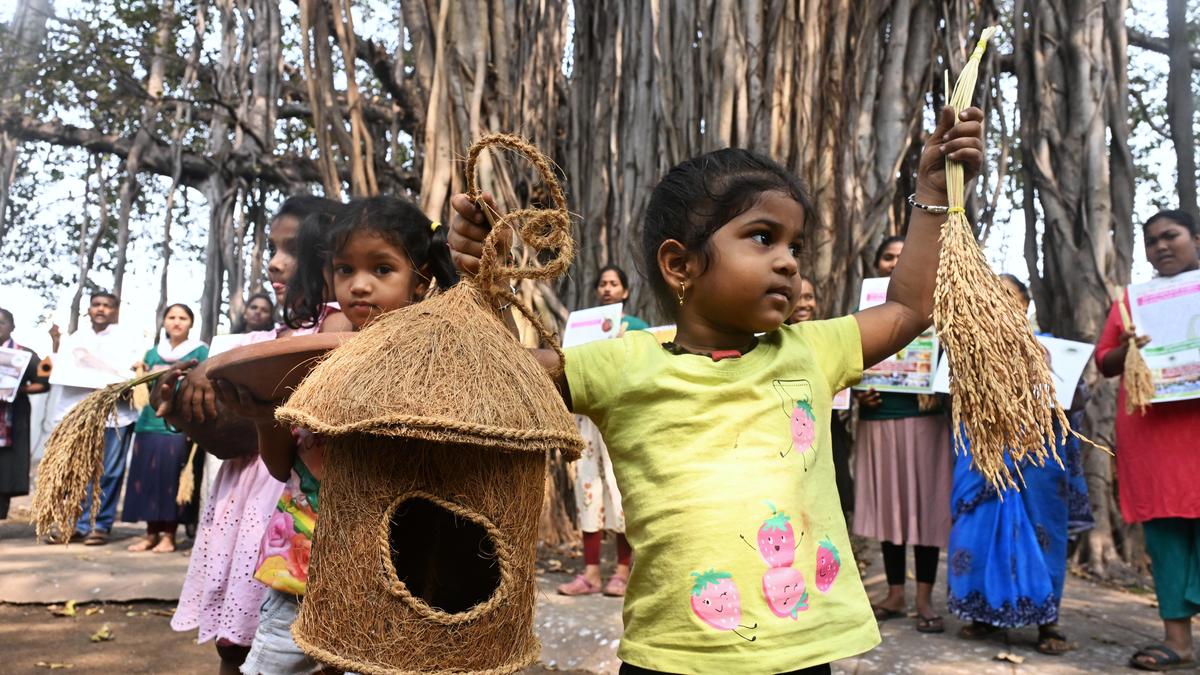 Official urges Vizag residents to protect declining house sparrow population