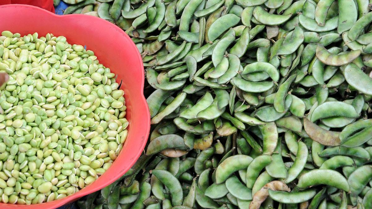 Maghi Sambhrama to showcase winter produce in Mysuru on December 13 and 14