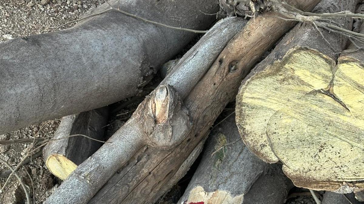 Contractor, four others booked for assaulting forest officials in Ballari