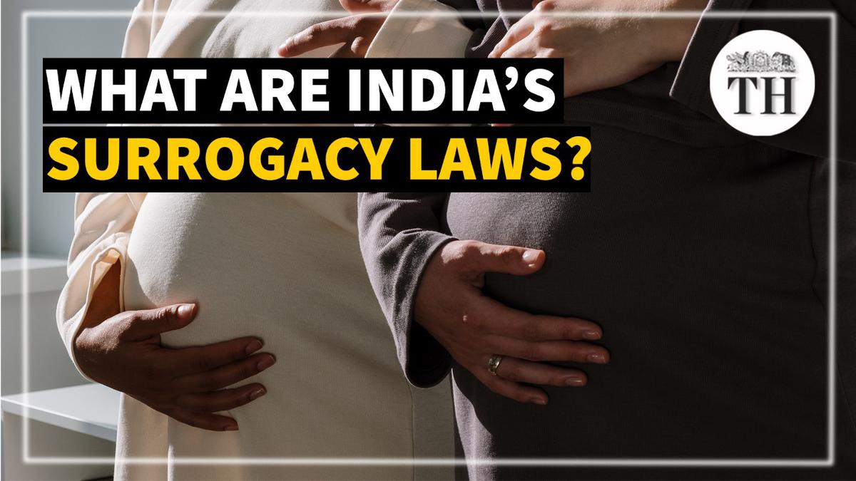 Watch | What are India’s surrogacy laws?