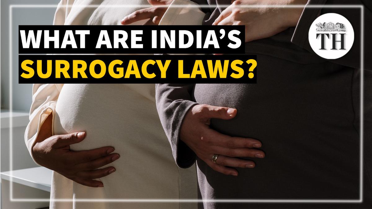 Watch What Are Indias Surrogacy Laws The Hindu 