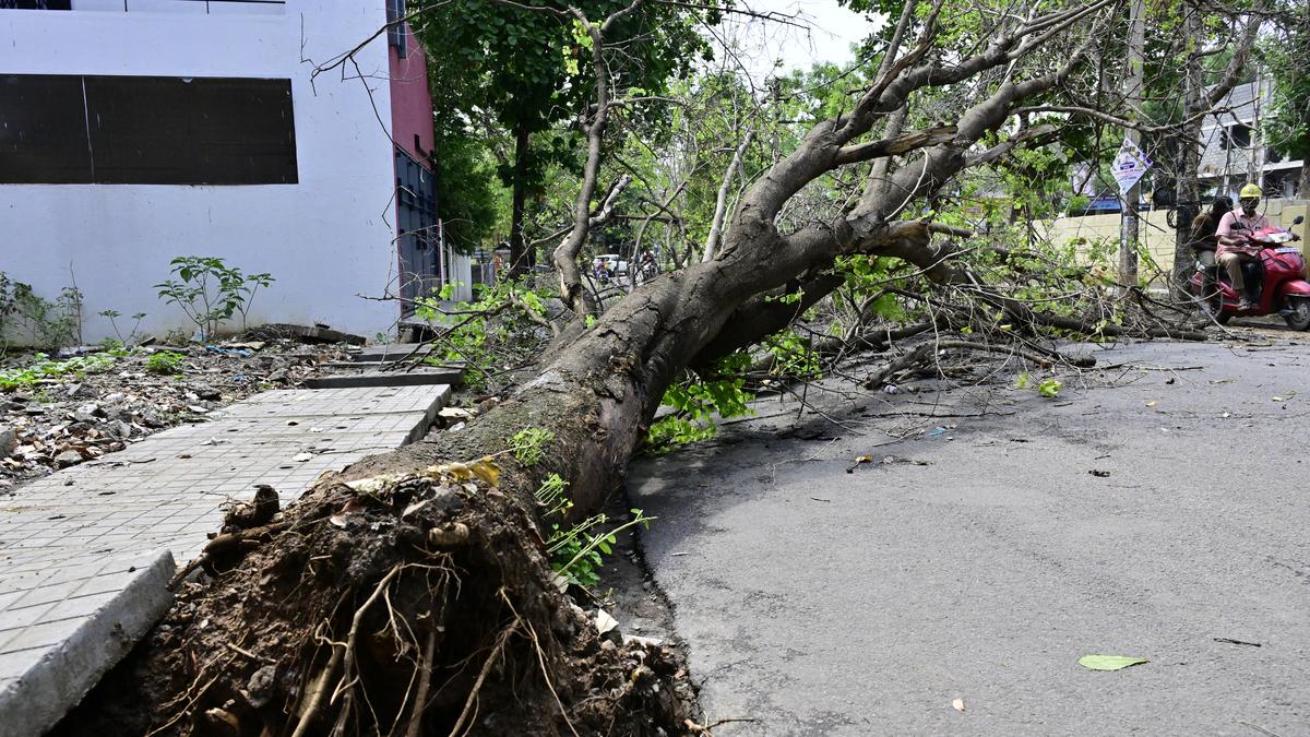 Rain impact: 196 areas saw inundation, 10 house affected in Bengaluru