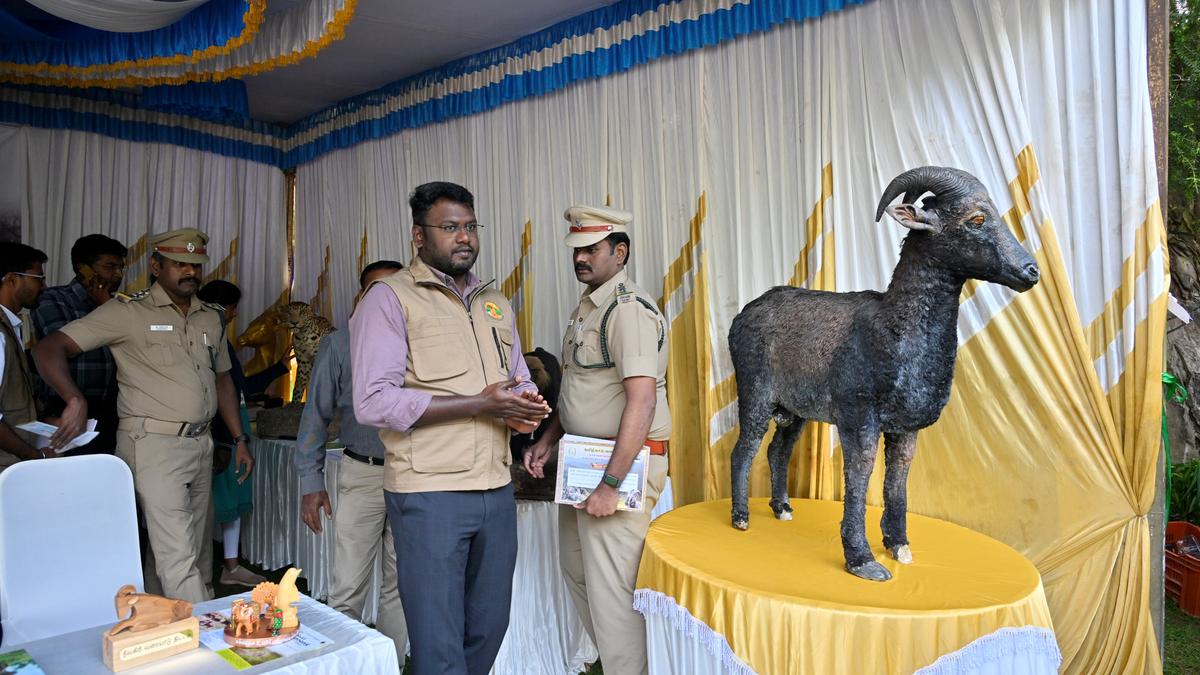 World Nilgiri Tahr Day celebrated in the Nilgiris