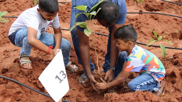 Sapling planting drive conducted on campus